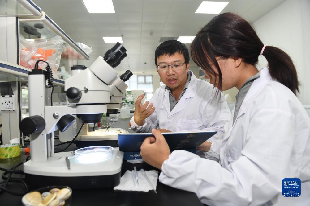 水果游戏机破解方法